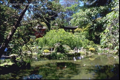 Japanischer Garten im Golden Gate Park