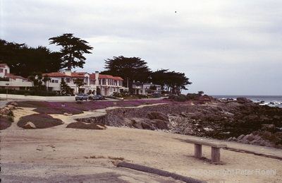 Monterey Pacific Grove